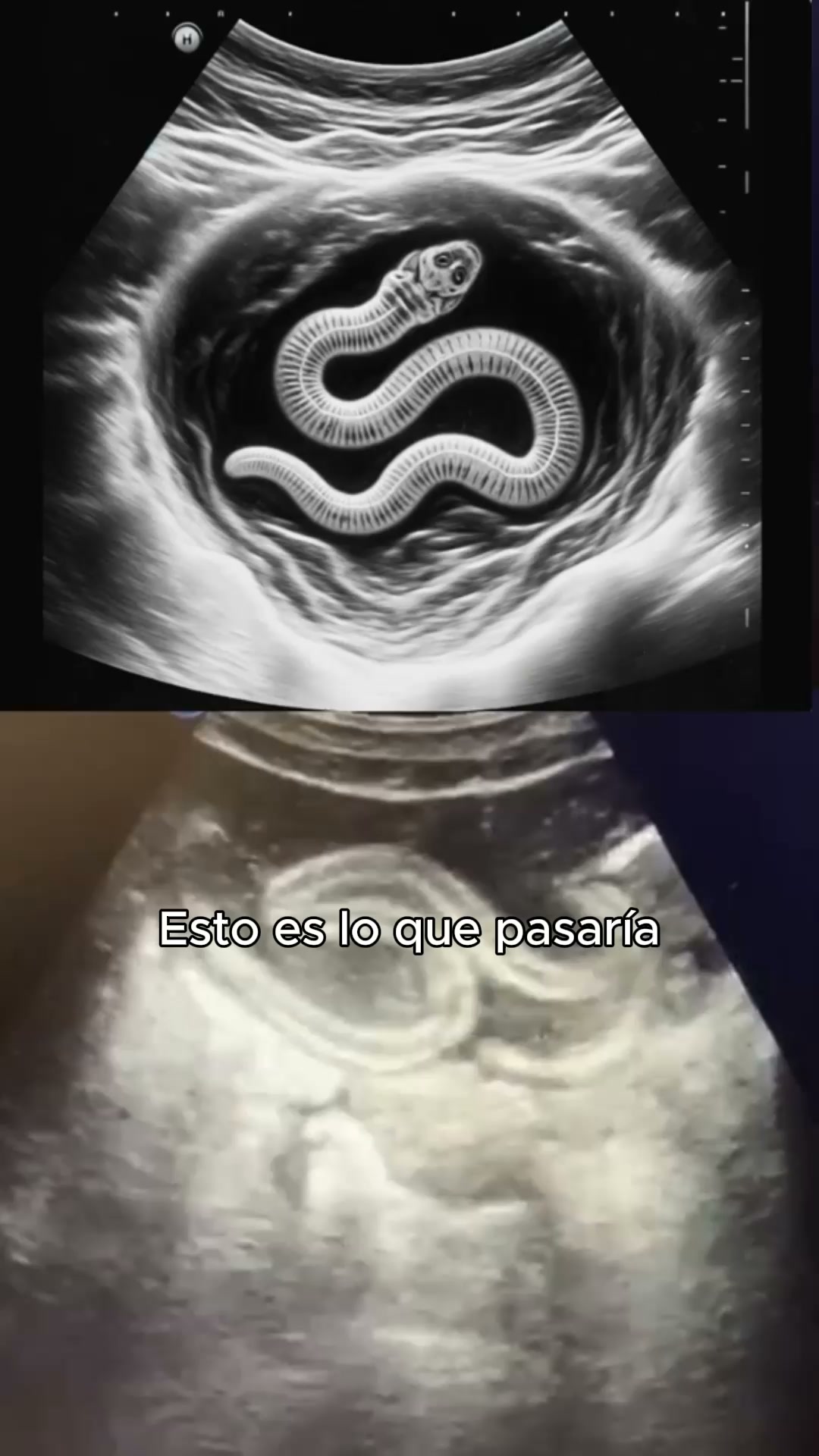 Limpia Tu Cuerpo Ahora