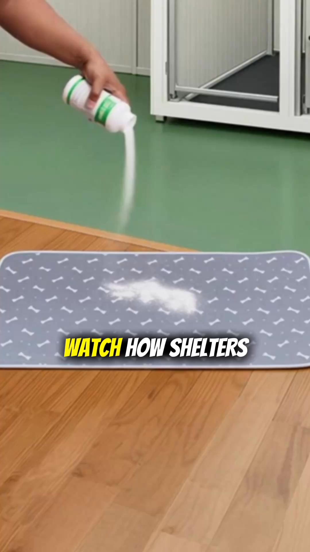 How We Potty Train Any Dog Instantly