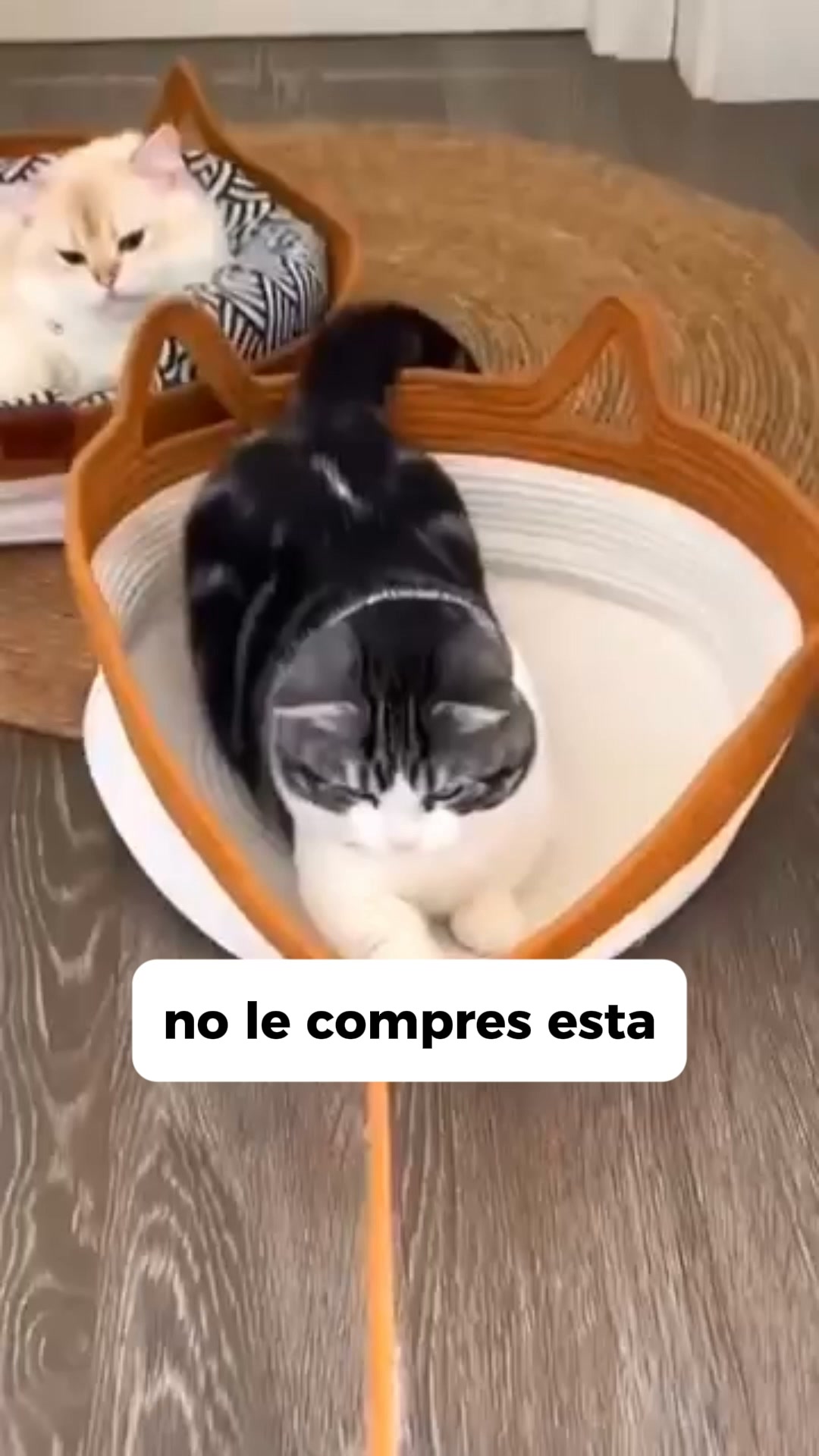 Se lima las uñas solo. Sin cortaúñas.