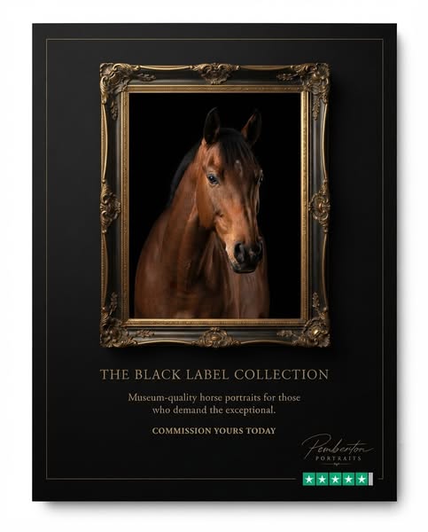 Biggest sales: 45% OFF + Free Shipping