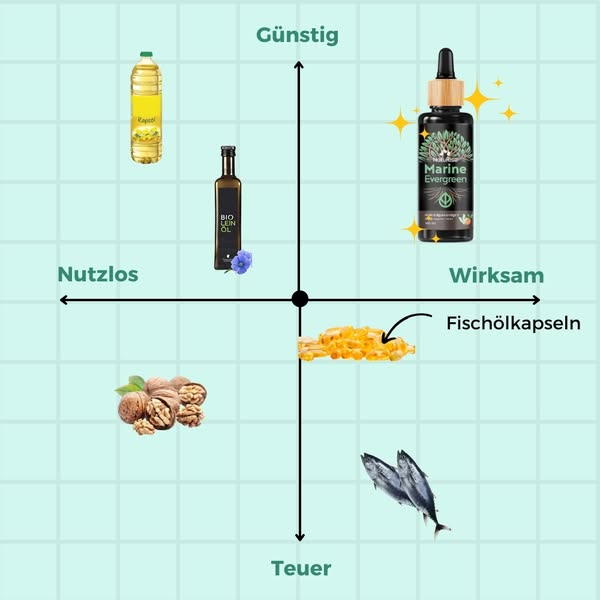Darum ist Algenöl die BESTE Omega 3 Quelle!