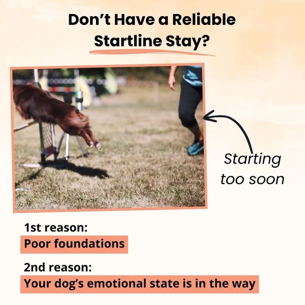 3-step Formula for a Solid Startline Stay