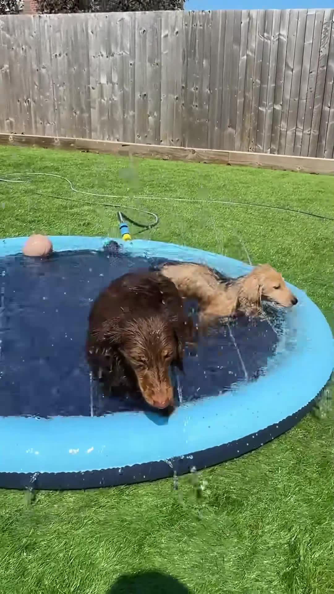 #1 Wasserspaß
