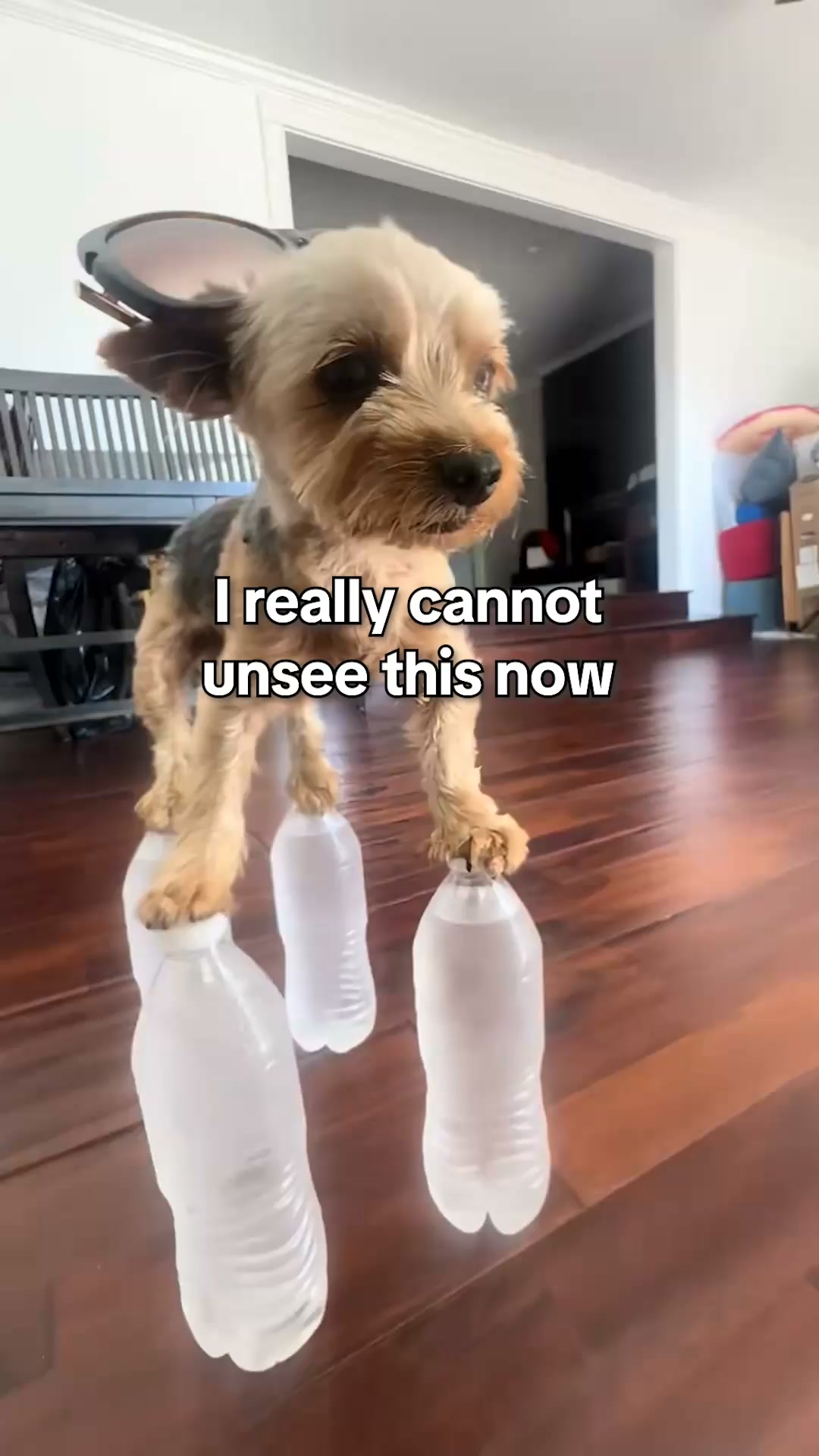 Pre-Washed ≠ Clean