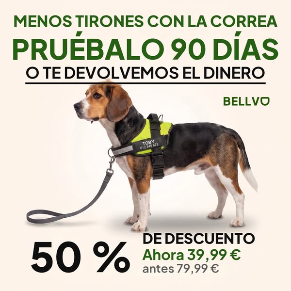 50 % en el arnés Bellvo