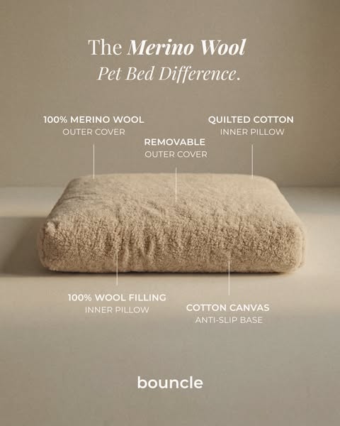 Why Merino Wool?
