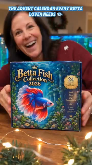 Betta Fish Collection Advent Calendar