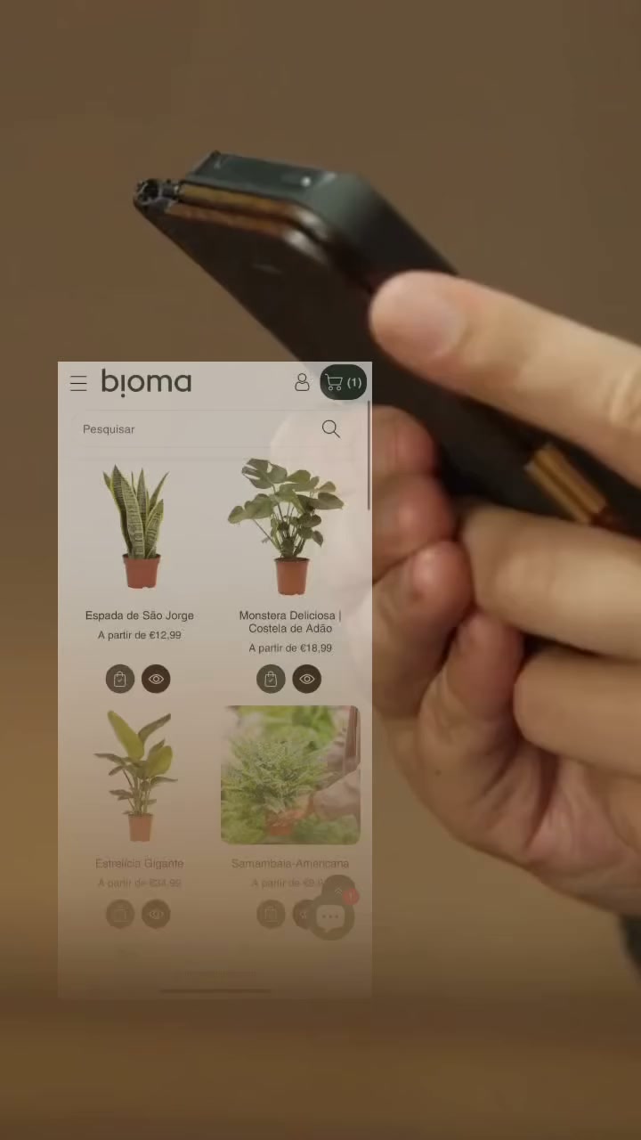 Plantas de Interior