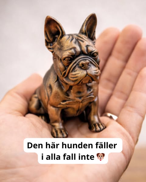 Hundfigur: Se alla raser här