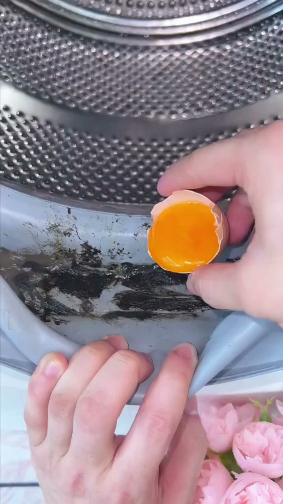 Wäsche riecht nach dem Waschen immer noch nach Hund?