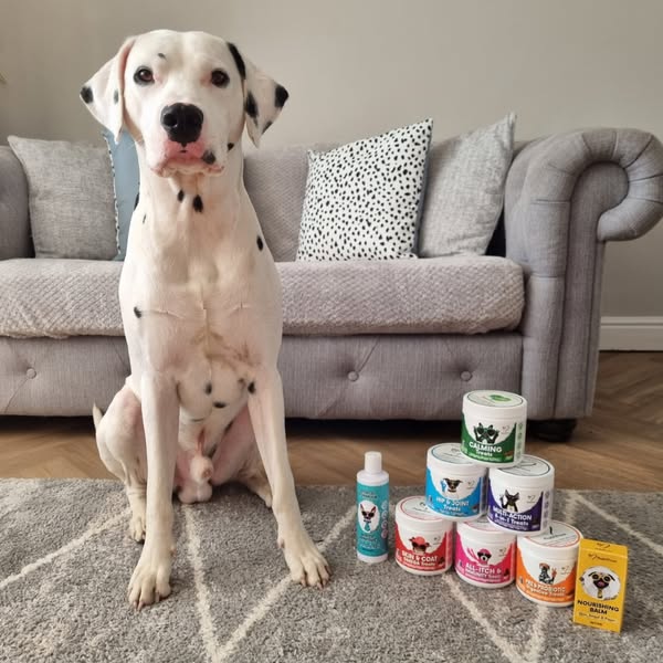 Vets Love It. Dogs Love It. Owners Trust It.