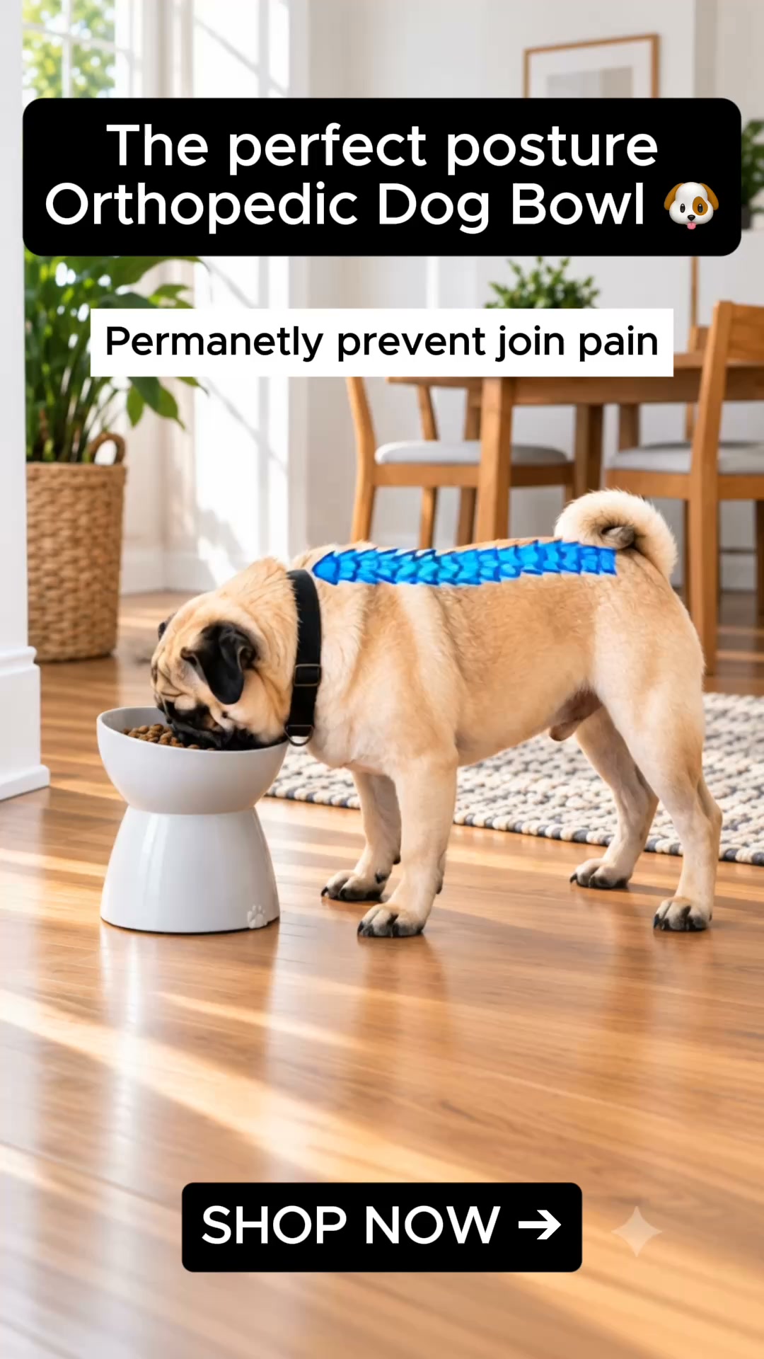 Orthopedic Bowl