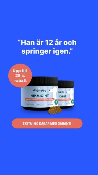 Tidsbegränsat erbjudande