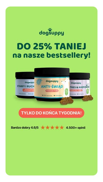 Do 25% taniej + dostawa jutro przy zamówieniu do 20:00