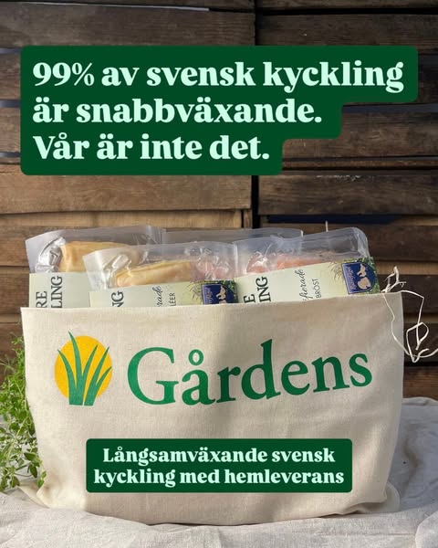 Långsamväxande kyckling