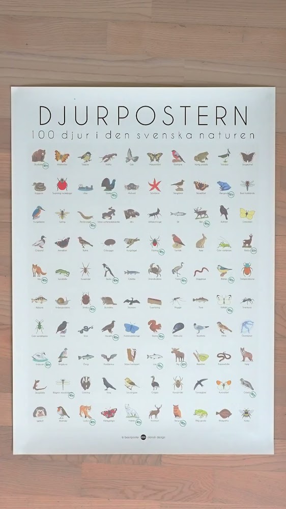 100 djur från Sverige - på en poster