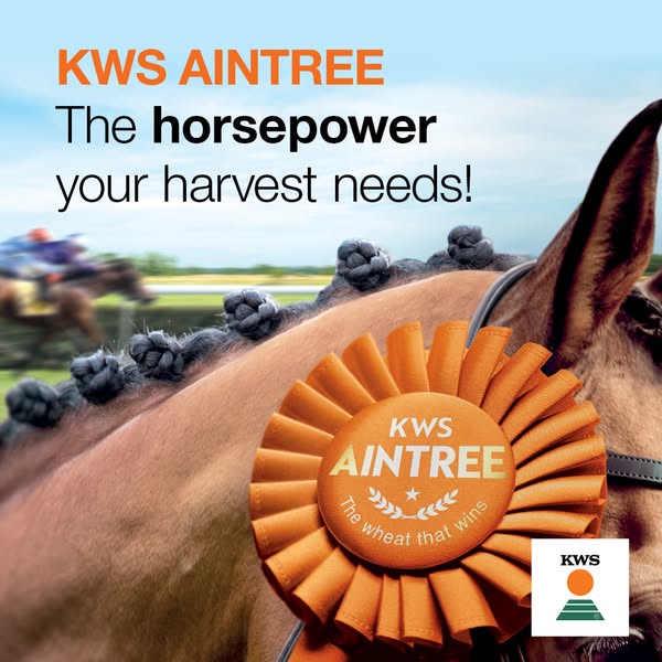 KWS Aintree