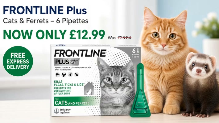 Limited Offer – Now £12.99