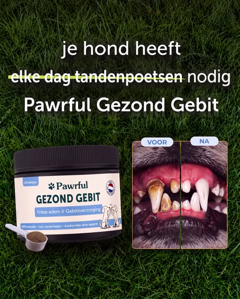 Dagelijkse gebitsverzorging zonder gedoe