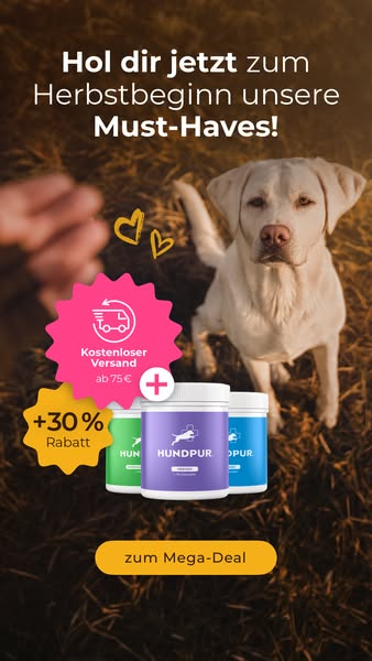 Jetzt 30% sparen