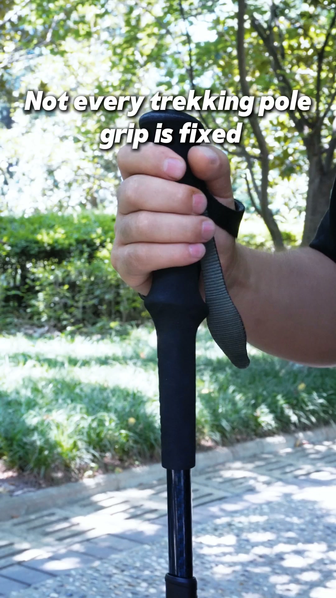 A Different Kind of Trekking Pole