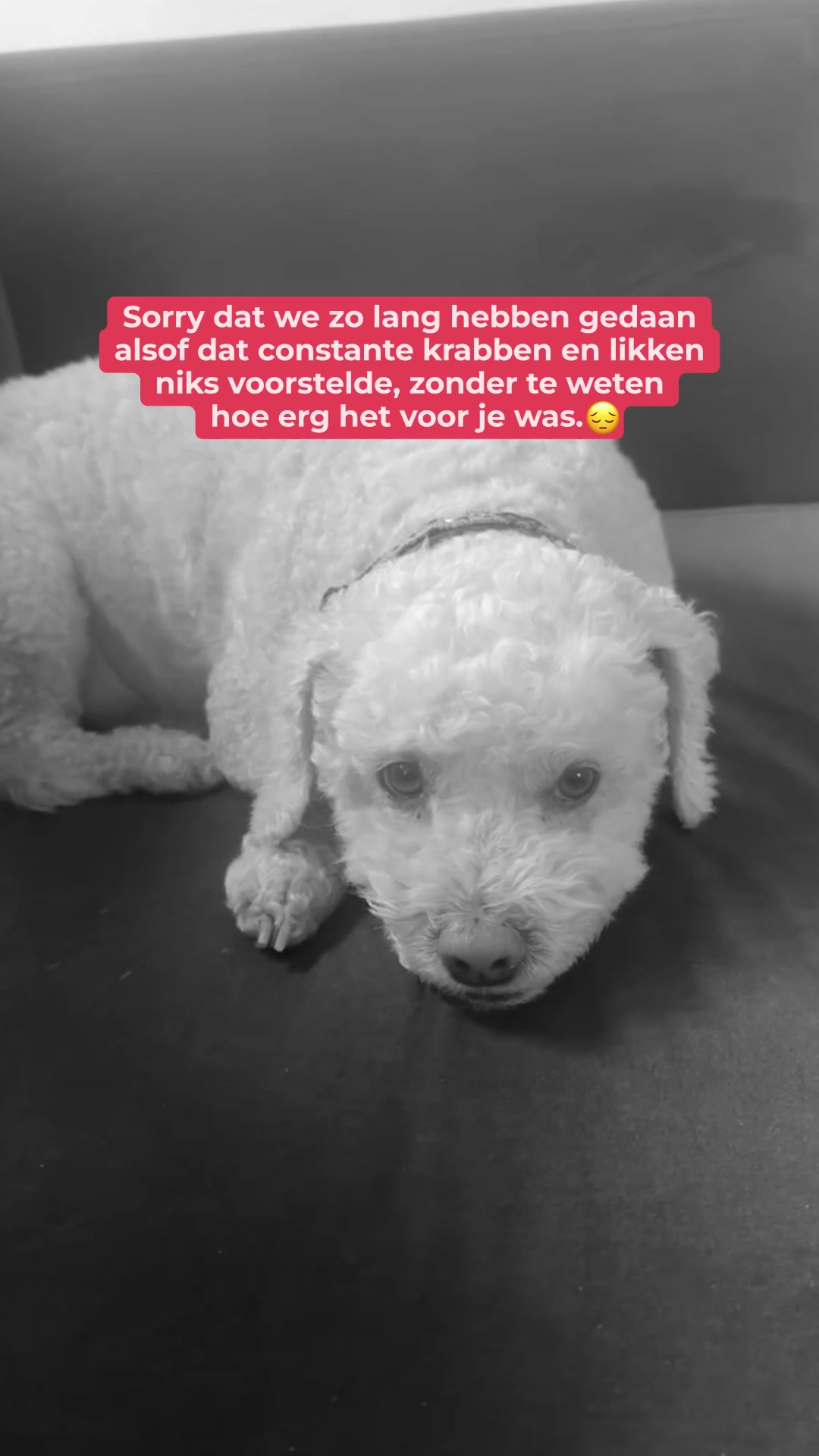 Waar jeuk echt vandaan komt (en wat je ertegen doet)