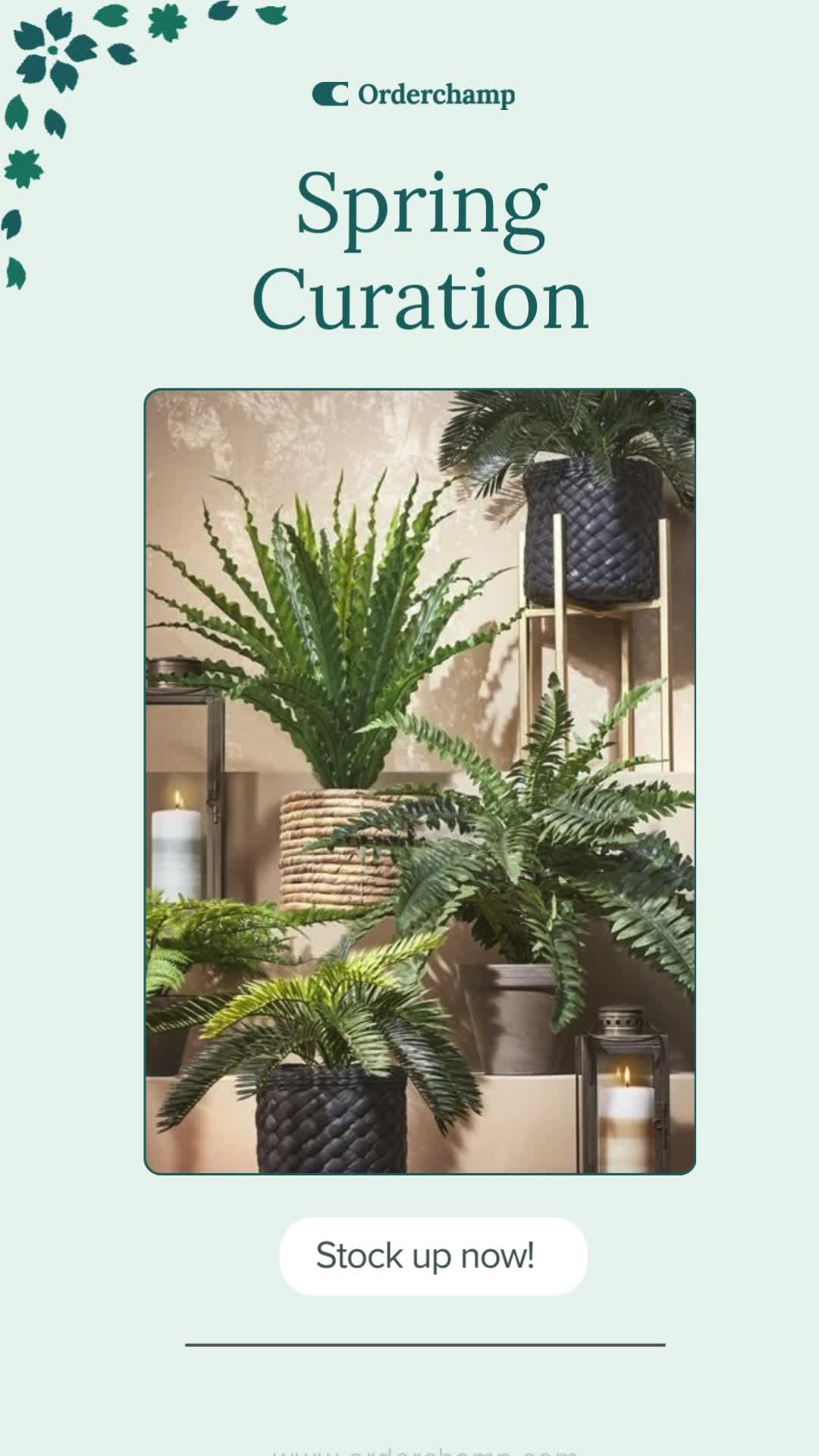 Orderchamp wholesale marketplace