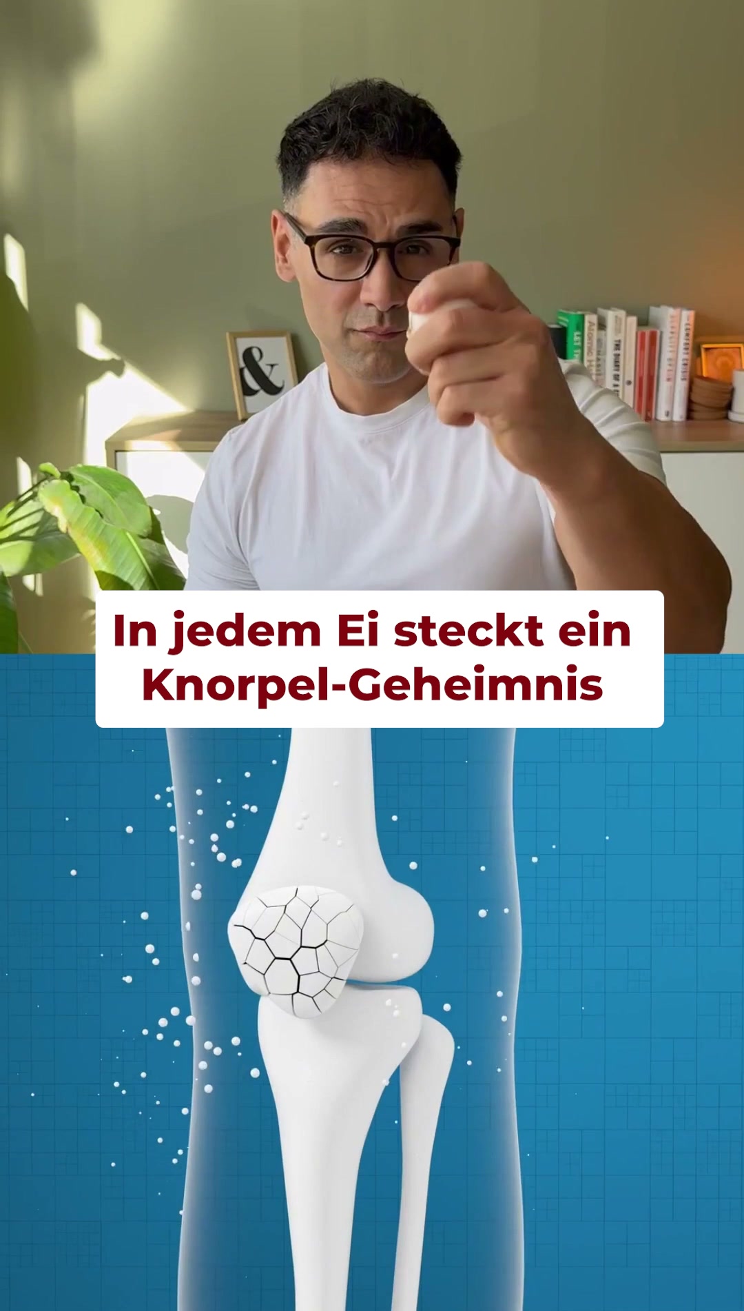 50 % Rabatt + kostenloser Versand