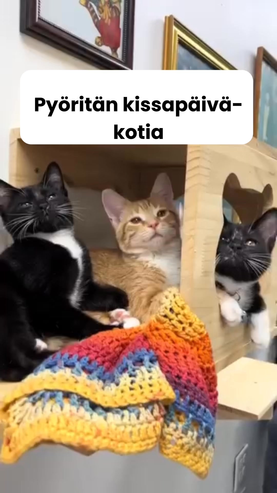 Saat 50% alennuksen + ilmaisen lahjan! Vain rajoitetun ajan!