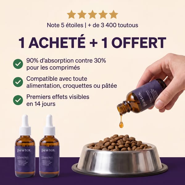 Verse à ton toutou un vrai soutien articulaire