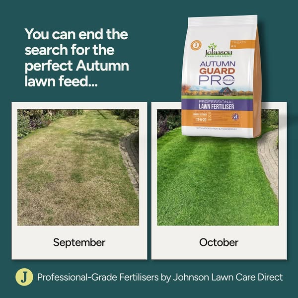 From Brown Patches to a Lush Lawn