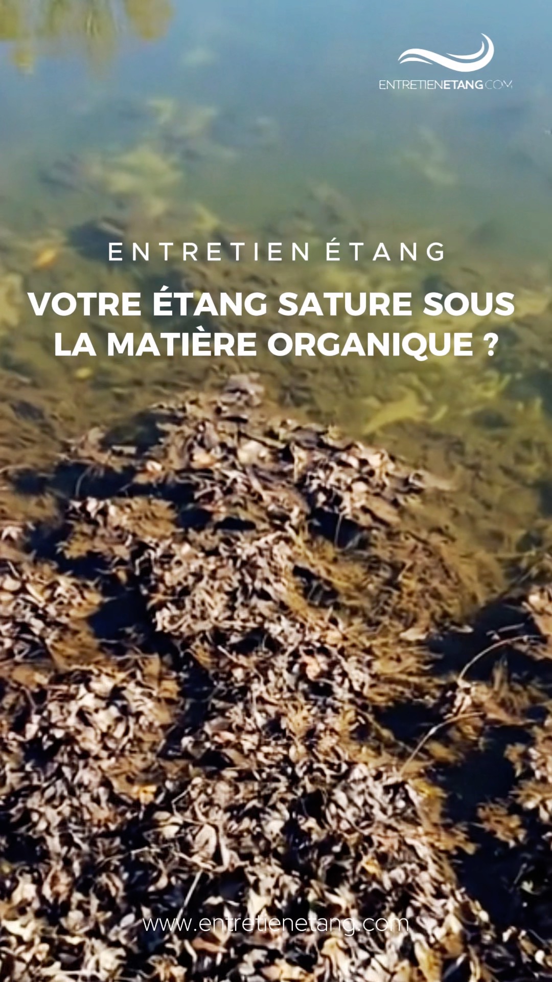 Entretien Étang