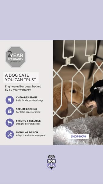 A Dog Gate You Can Trust