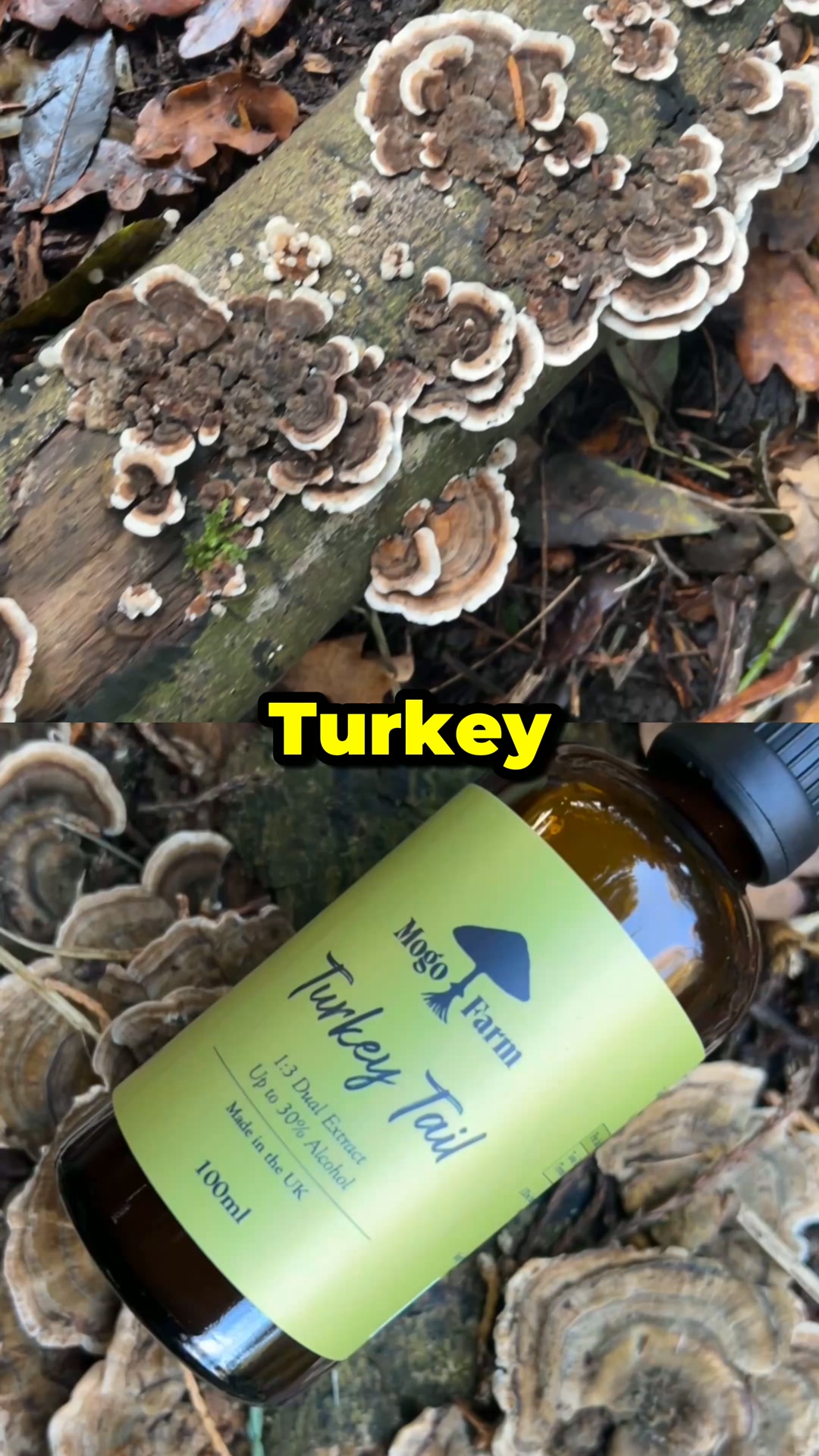 The 30 Second Mushroom Ritual That Sticks