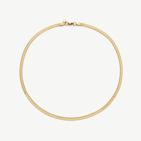 Essentials Snake Chain Necklace