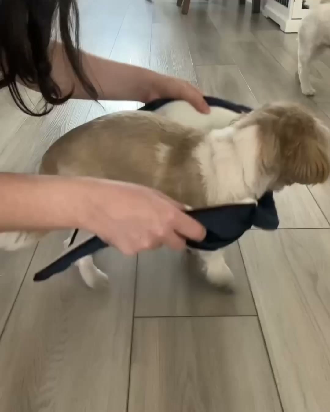 Inget väder stoppar er promenad