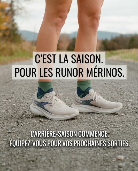 La saison du mérinos commence