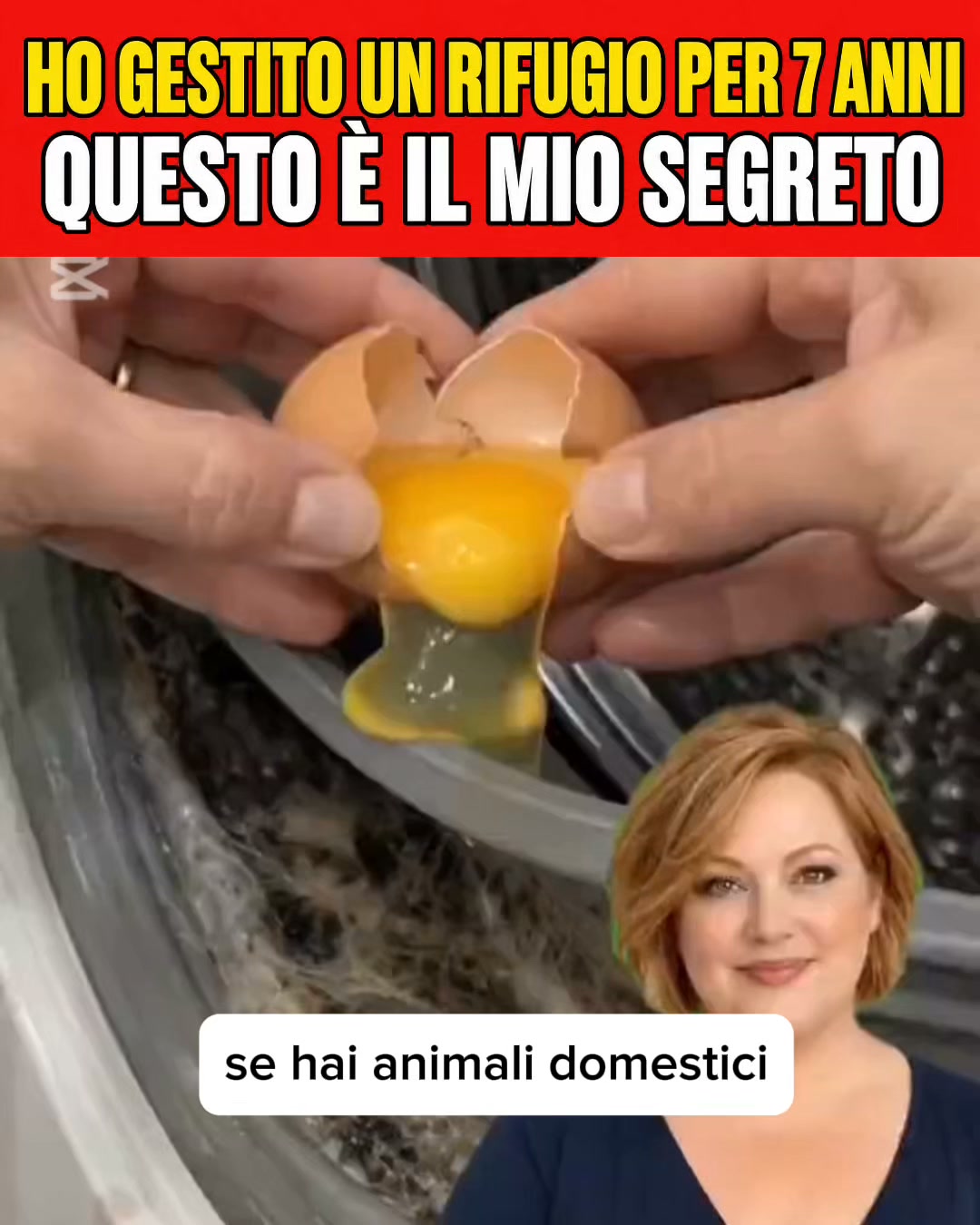 Se il bucato ha ancora un odore sgradevole dopo aver pulito la lavatrice... ecco la spiegazione