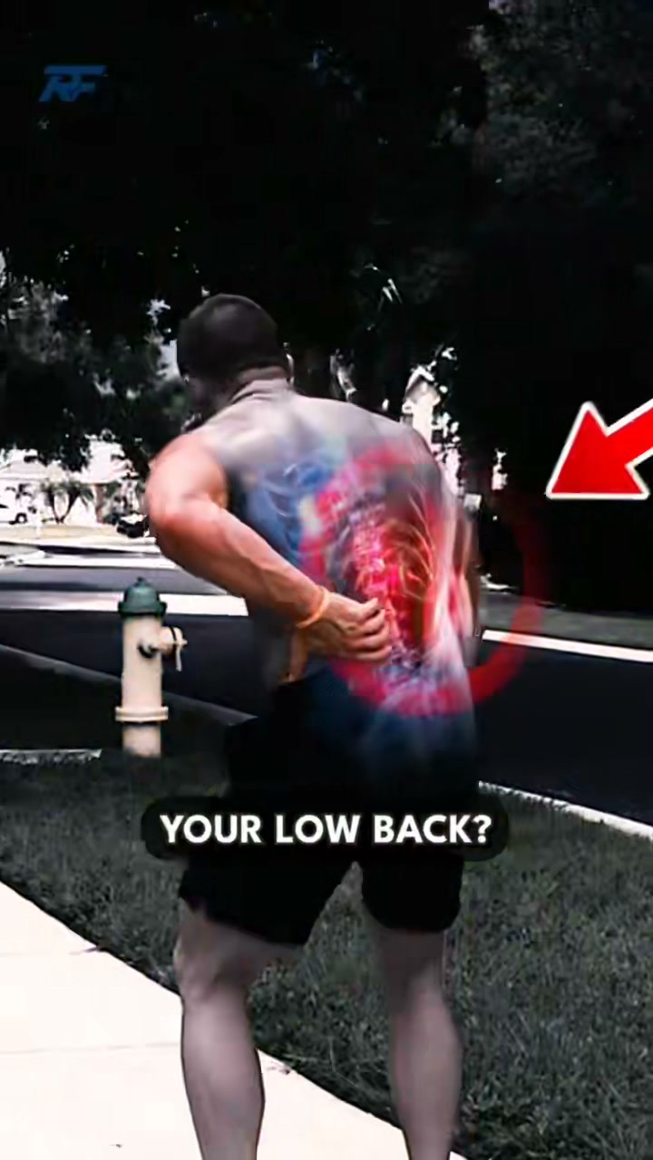 long sitting，lifting，twisting— Stay Supported