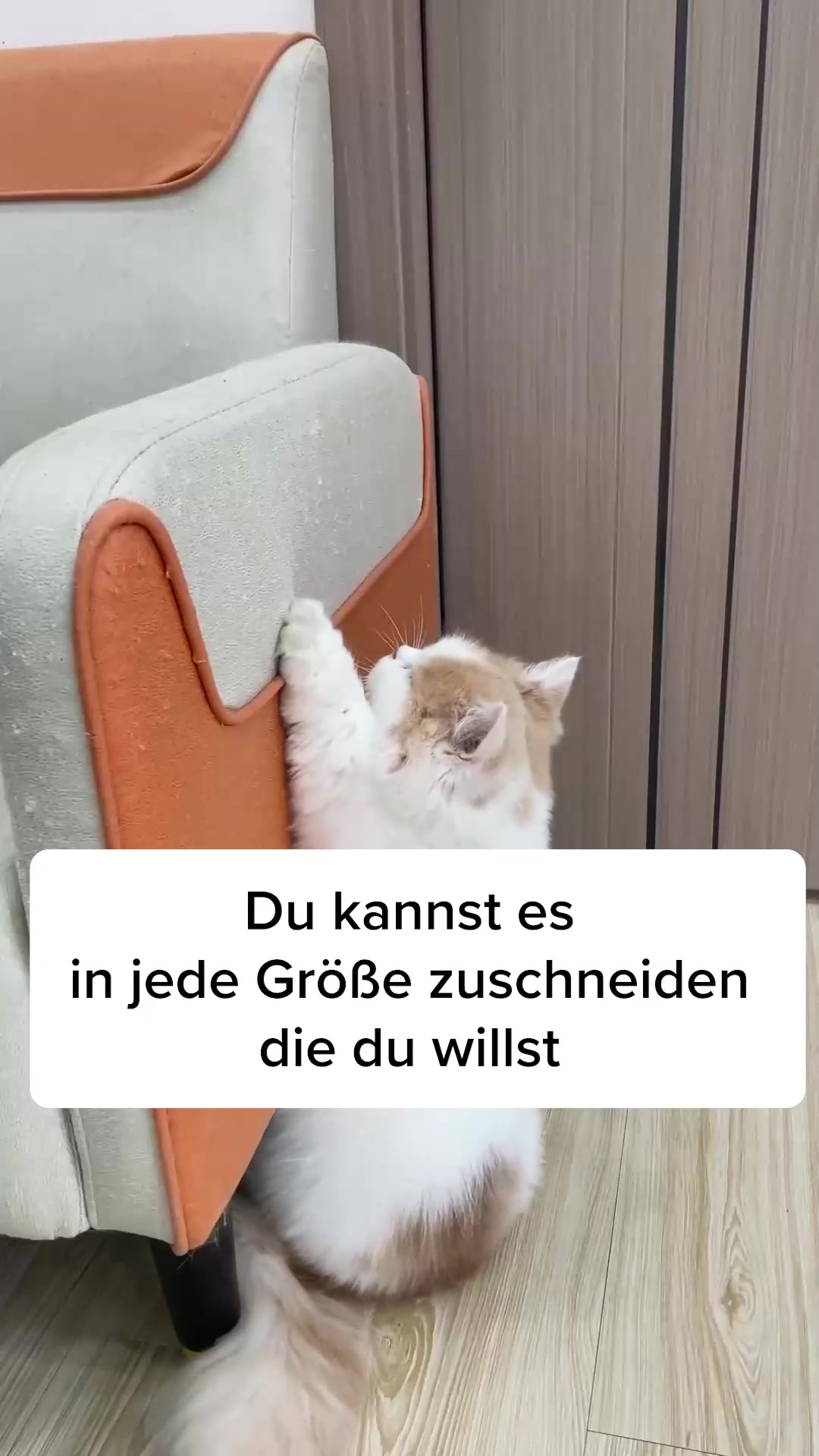 #1 Kratzschutz
