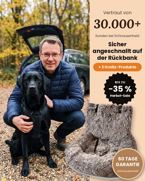 RuheNest™ Hunde-Autobett mit Sicherheitsgurt | Schnauzenheld
