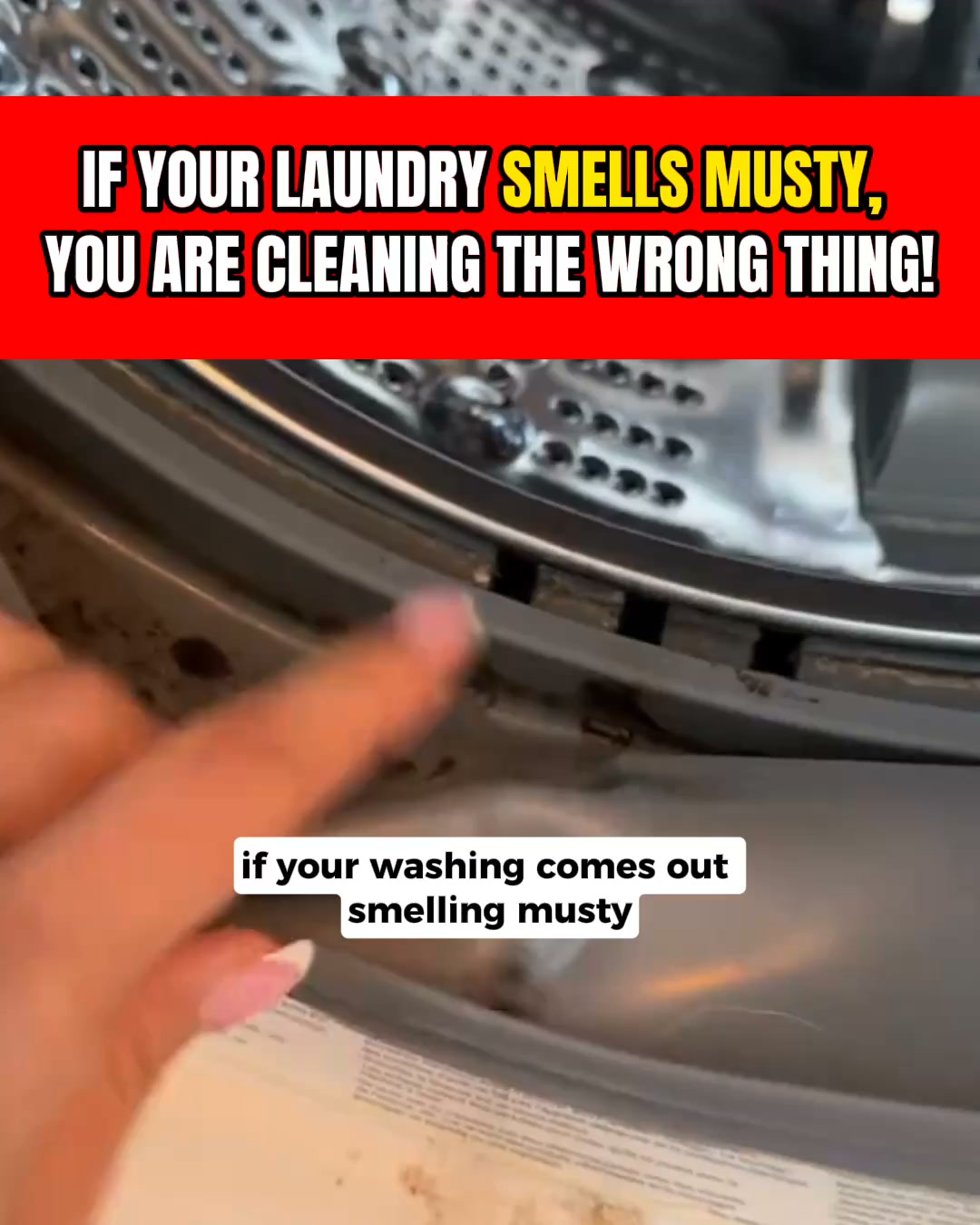 If your washing smells like a wet dog straight out of the machine... this germ is why