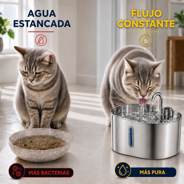Del cuenco que ignora al agua que le atrae