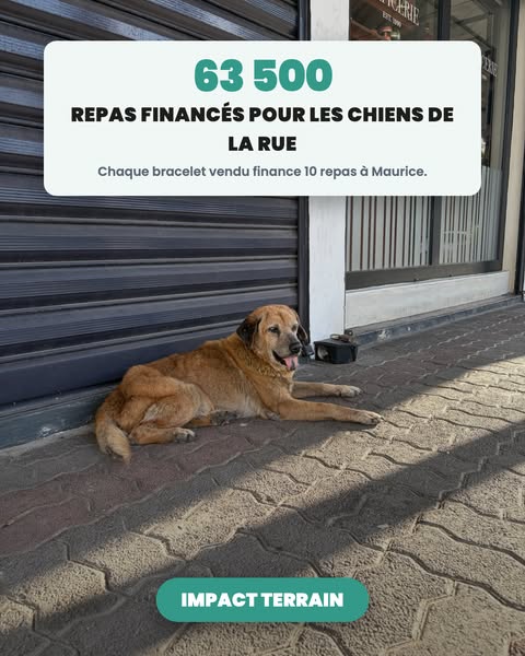 1 bracelet = 10 repas financés