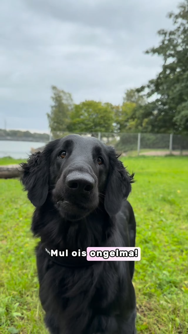 Monitoimihihnat nyt -30 %