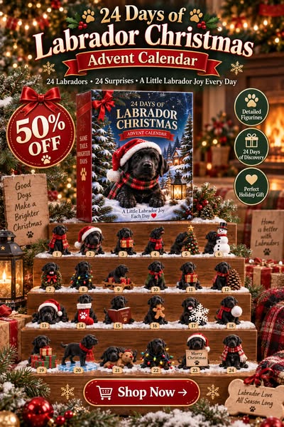 24 Days of Labrador Christmas – Black Lab Advent Calendar