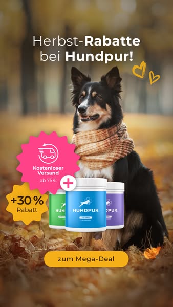 Jetzt 30% sparen