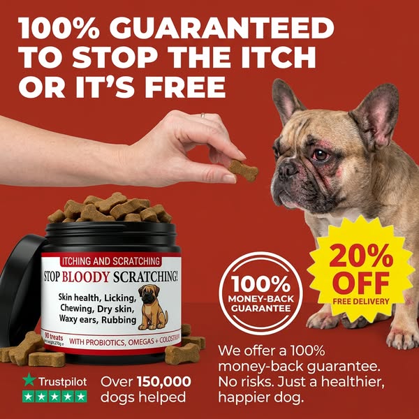 STOP BLOODY SCRATCHING