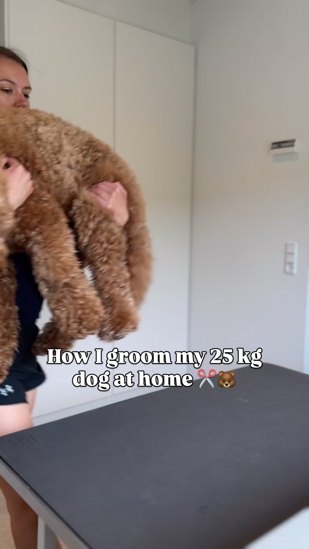 Ge din doodle en mjuk teddybjörnspäls med trimmern från Bjaf