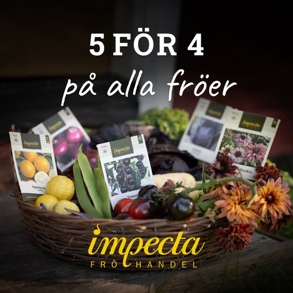 5 för 4 på hela frösortimentet